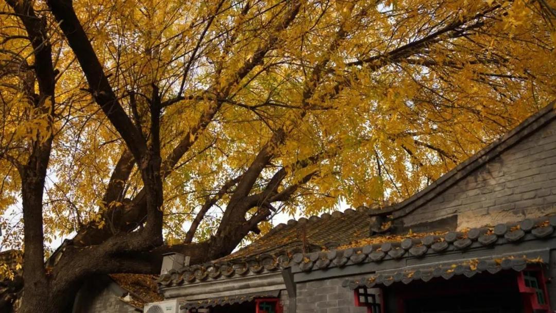 The East Hotel-Very Close To The Drum Tower,The Lama Temple,Houhai Bar Street,And The Forbidden City,There Are Many Old Beijing Traditional Hutongs Around The Hotel ,Experience The Culture Of Old Beijing Hutongs,Near Exit A Of Shichahai On Metro Line Pequim Exterior foto