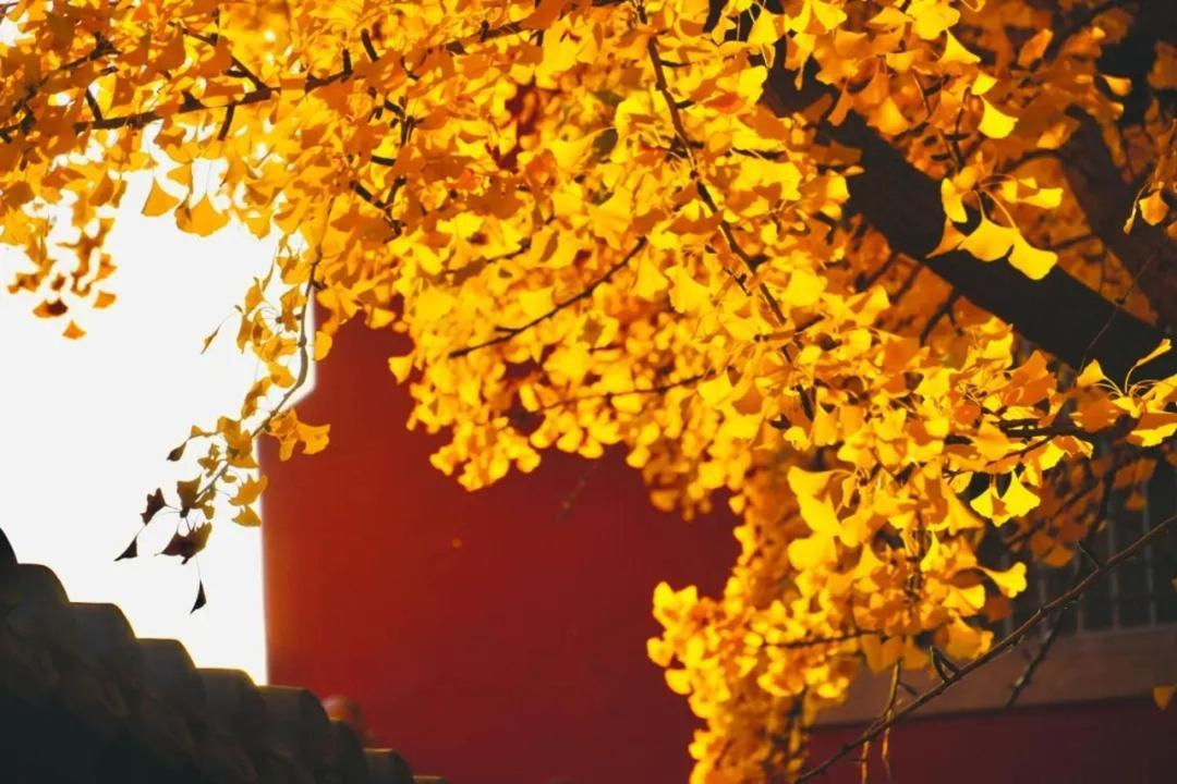 The East Hotel-Very Close To The Drum Tower,The Lama Temple,Houhai Bar Street,And The Forbidden City,There Are Many Old Beijing Traditional Hutongs Around The Hotel ,Experience The Culture Of Old Beijing Hutongs,Near Exit A Of Shichahai On Metro Line Pequim Exterior foto